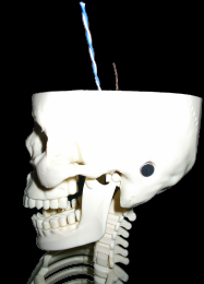 Sir Bones with mic embedded in skull