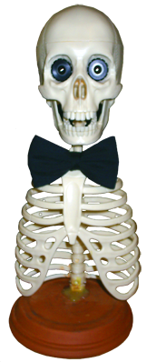 Sir Bones looking smart